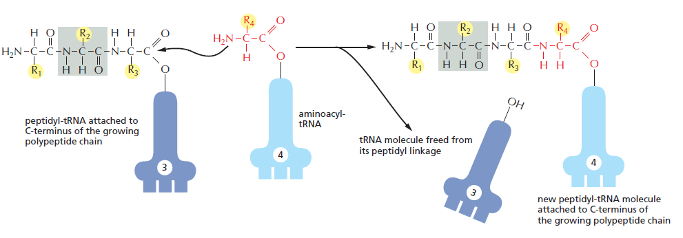 Figure 6-59.png